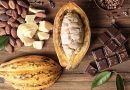 Cacao e importazione nuovo Regolamento UE