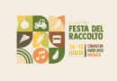 Festa del Raccolto II edizione