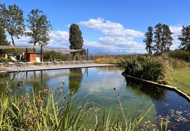 Una domenica in tour ai Cacciagalli