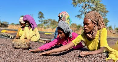 Dalla piantagione alla tazzina le donne sono una risorsa fondamentale per la crescita del settore caffeicolo.
